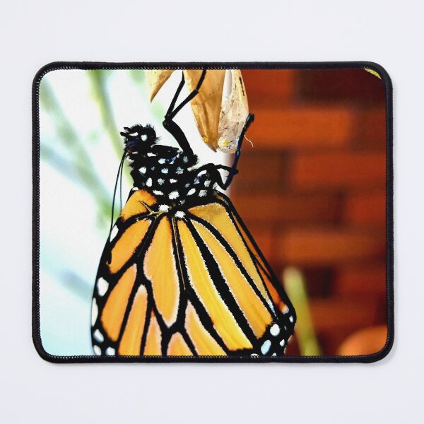 Item preview, A BUTTERFLY WAS BORN designed and sold by Steffi August.