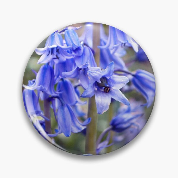 Item preview, Bluebells Spring Flowers Hyacinthoides designed and sold by AndyEvansPhotos.