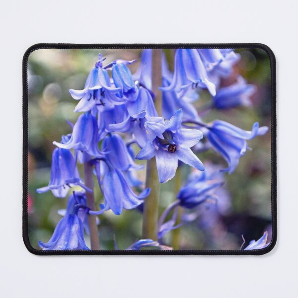 Item preview, Bluebells Spring Flowers Hyacinthoides designed and sold by AndyEvansPhotos.