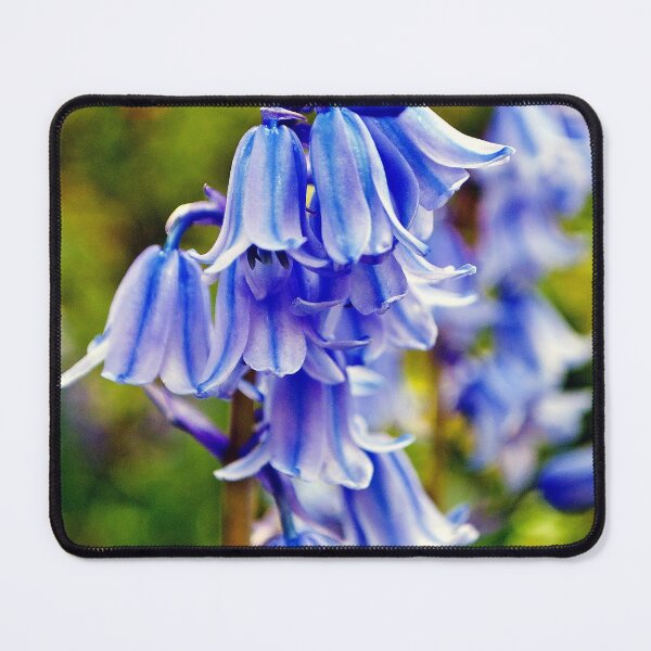 Item preview, Bluebells Spring Flowers Hyacinthoides designed and sold by AndyEvansPhotos.