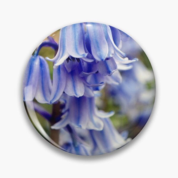 Item preview, Bluebells Spring Flowers Hyacinthoides designed and sold by AndyEvansPhotos.