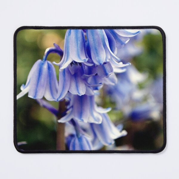 Item preview, Bluebells Spring Flowers Hyacinthoides designed and sold by AndyEvansPhotos.