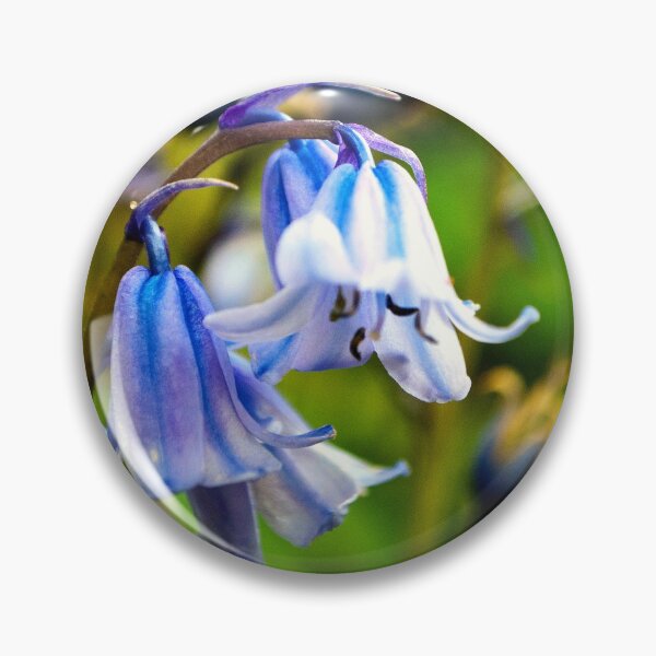 Item preview, Bluebells Spring Flowers Hyacinthoides designed and sold by AndyEvansPhotos.