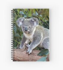 Koala Spiral Notebook