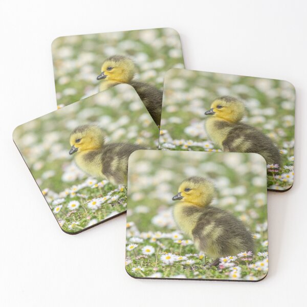 Item preview, Daisy the duckling designed and sold by sgrphotography.