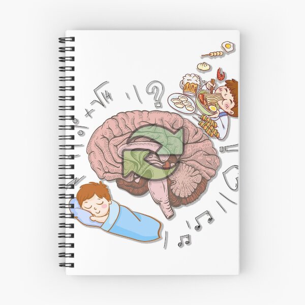 Item preview, Eat Sleep Formula Repeat designed and sold by Marwad Haveli.