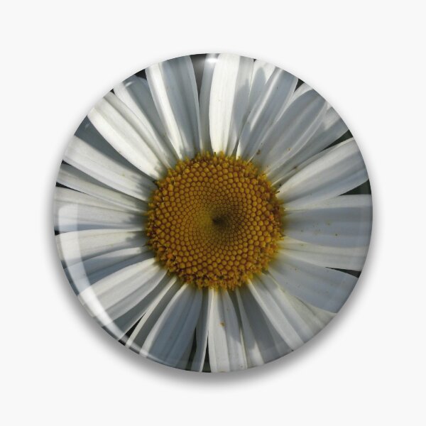 Item preview, .shasta daisy. designed and sold by foozma73.