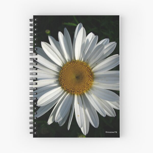 Item preview, .shasta daisy. designed and sold by foozma73.
