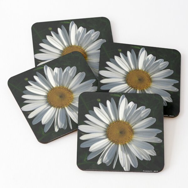 Item preview, .shasta daisy. designed and sold by foozma73.