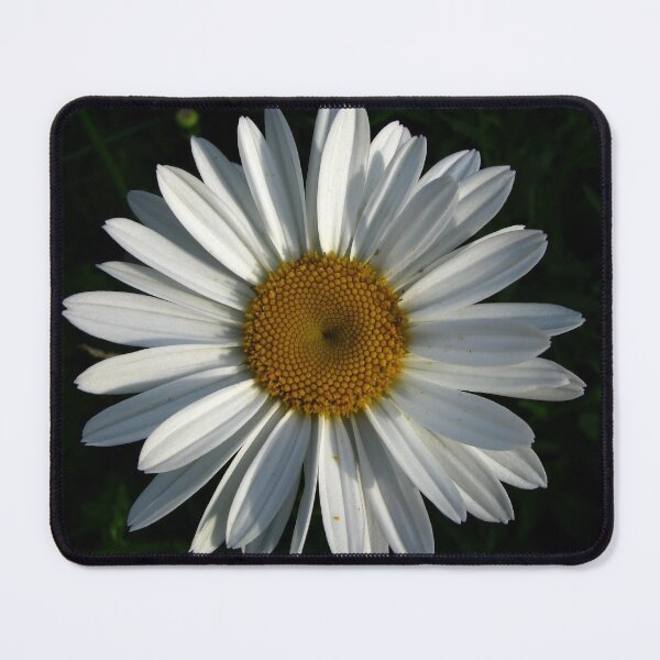 Item preview, .shasta daisy. designed and sold by foozma73.