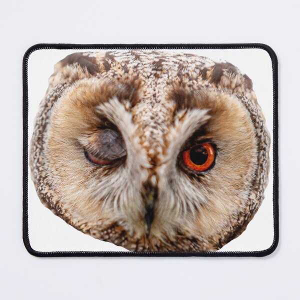 Item preview, Winking Long-eared owl designed and sold by Dalyndigital Photography.