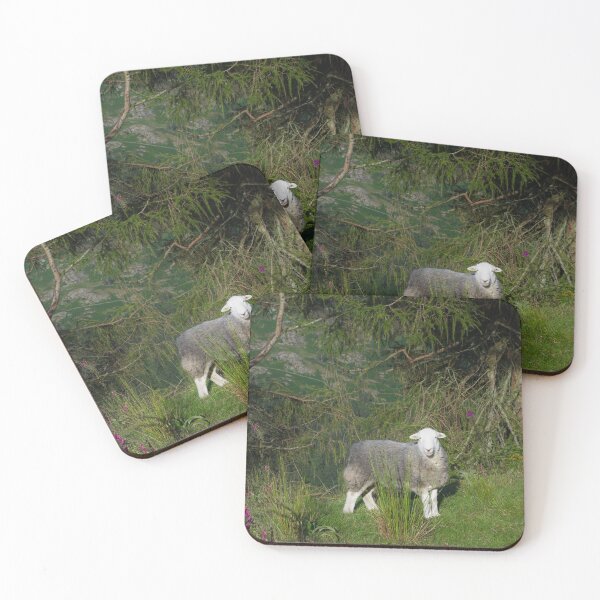 Item preview, Curious Sheep designed and sold by thelemmingface.