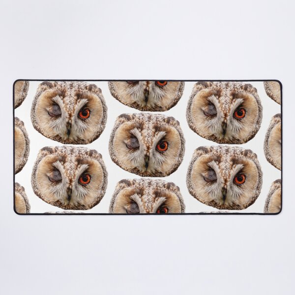 Item preview, Winking Long-eared owl designed and sold by Dalyndigital Photography.