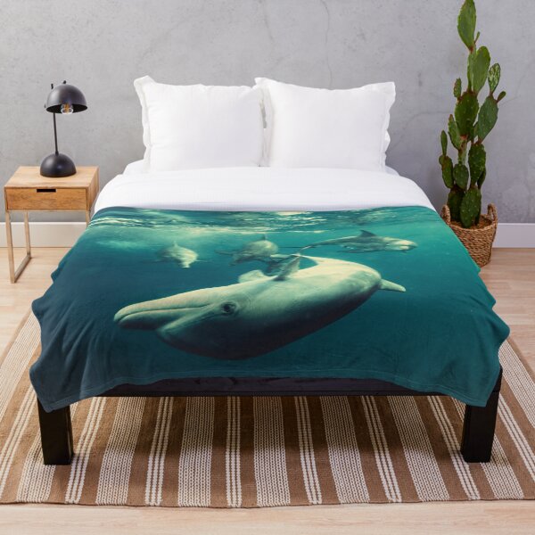 Item preview, Jugar designed and sold by ImageEvolution.