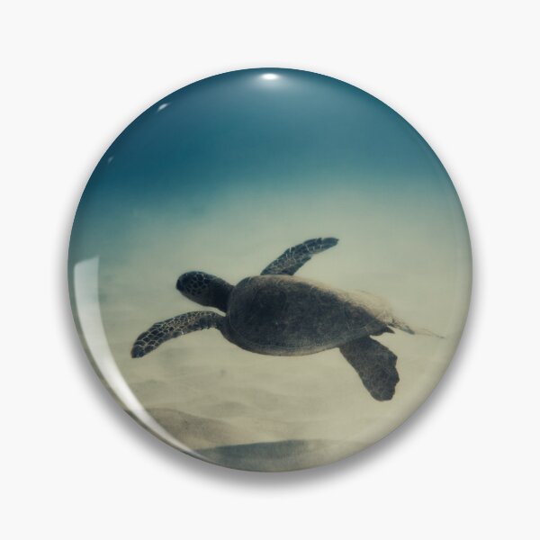Item preview, Launch designed and sold by ImageEvolution.