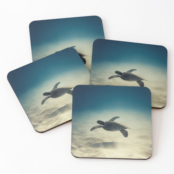 Item preview, Launch designed and sold by ImageEvolution.