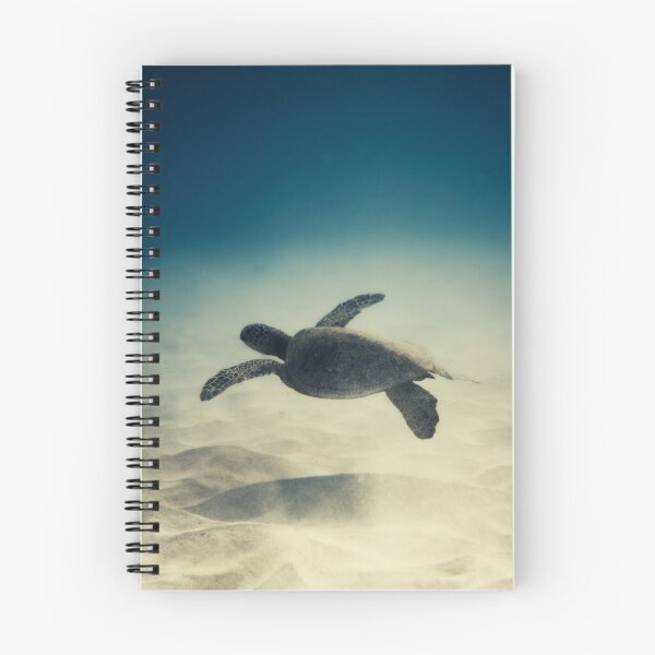 Item preview, Launch designed and sold by ImageEvolution.