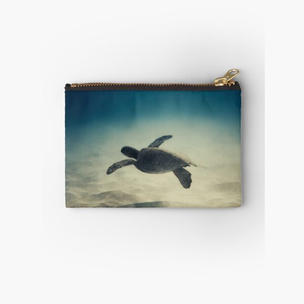 Item preview, Launch designed and sold by ImageEvolution.