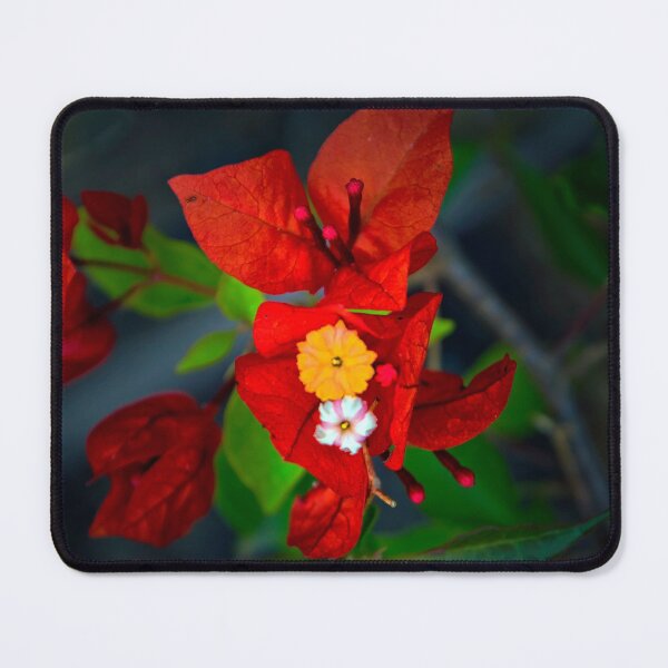 Item preview, Gorgeous Bougainvillea Bloom designed and sold by alabca.