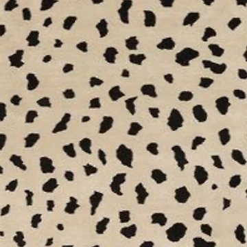 Artwork thumbnail, Safari by RUTH18