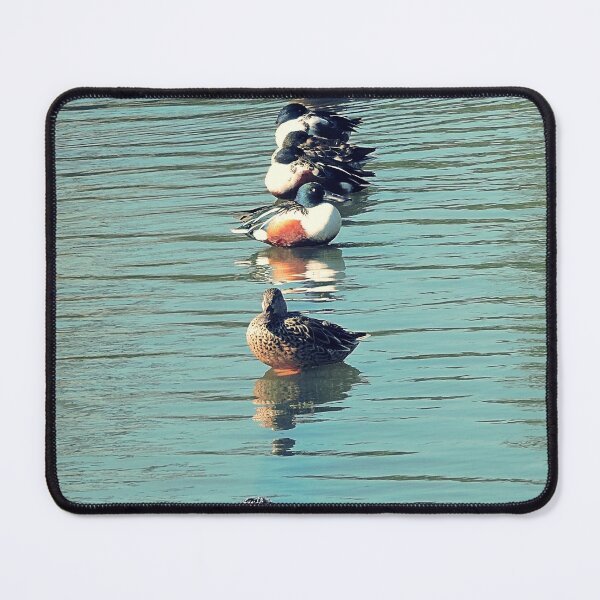 Item preview, Ducks in a row designed and sold by kcrystalfriend.