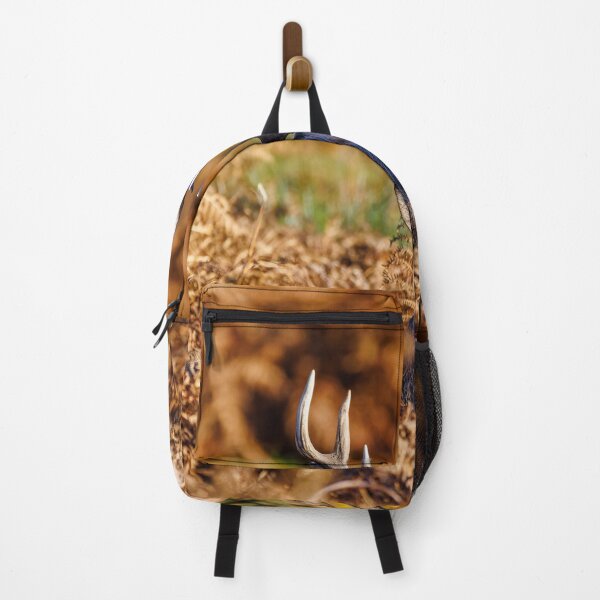 Item preview, Red Deer Stag in Richmond Park designed and sold by Graham Prentice.
