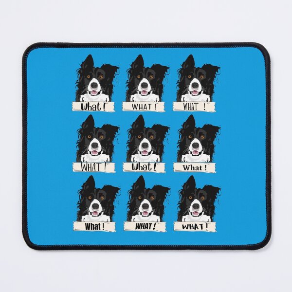 Item preview, Border Collie What Stickers and Gifts designed and sold by Willyboy16.