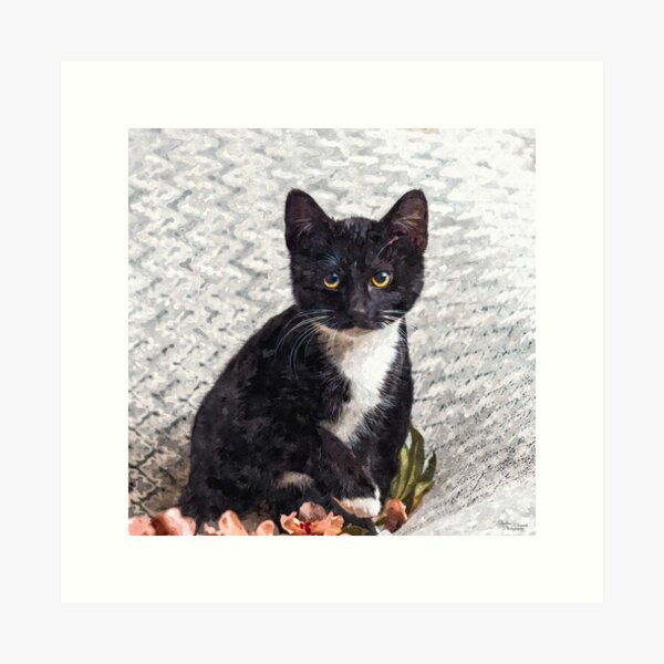 Item preview, Tuxedo Kitten Painterly designed and sold by mljdwhite.