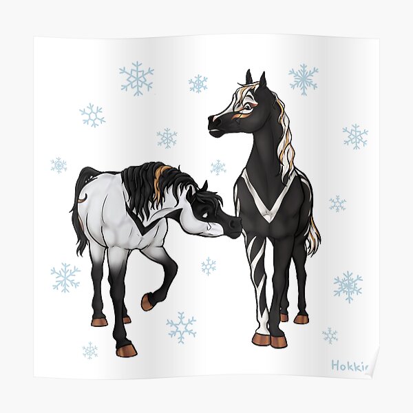 Schattenschild und Schneetänzerin Poster