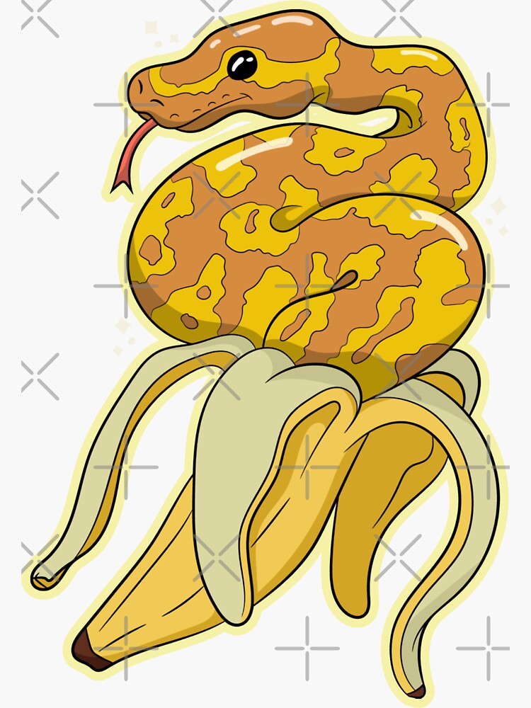 "Banana Ball Python" Sticker for Sale by artmaster1 Redbubble