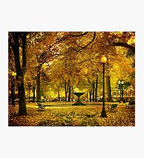 Public Garden, Boston MA Photographic Print