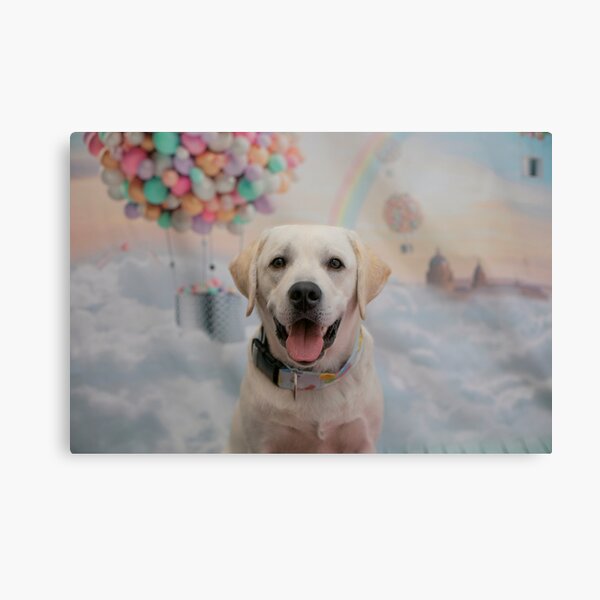 Happy Birthday Charlie Canvas Print