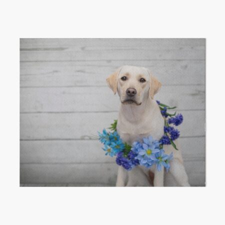 Dazzle Sweetheart Art Board Print