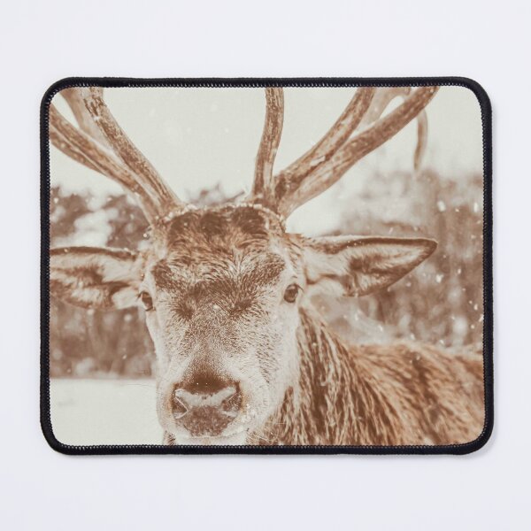 Item preview, Deer Photo designed and sold by Interpret108.