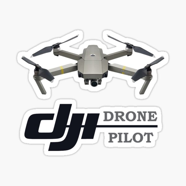 dji pilot mavic pro