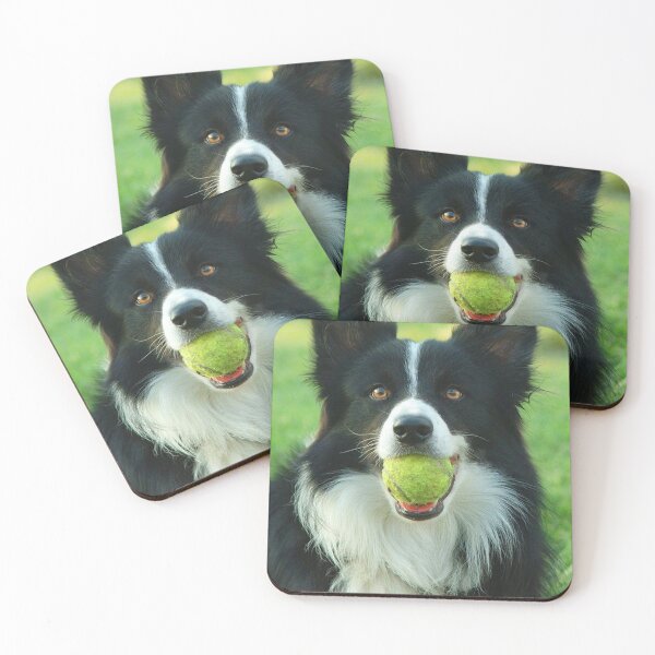 Item preview, Border Collie designed and sold by Forseti1.