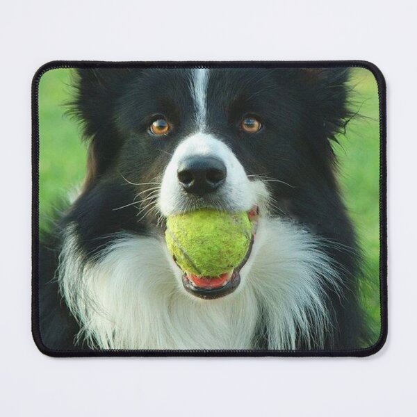 Item preview, Border Collie designed and sold by Forseti1.