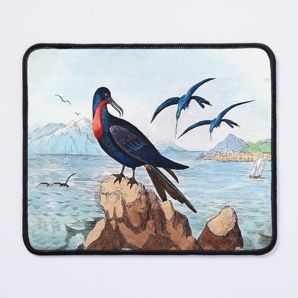 Item preview, frigatebird engraving designed and sold by louisxvpod.