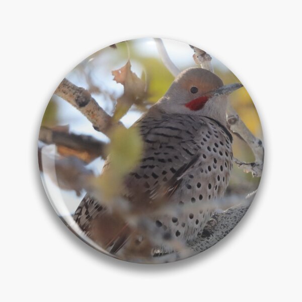 Item preview, Northern Flicker designed and sold by Alyce Taylor.