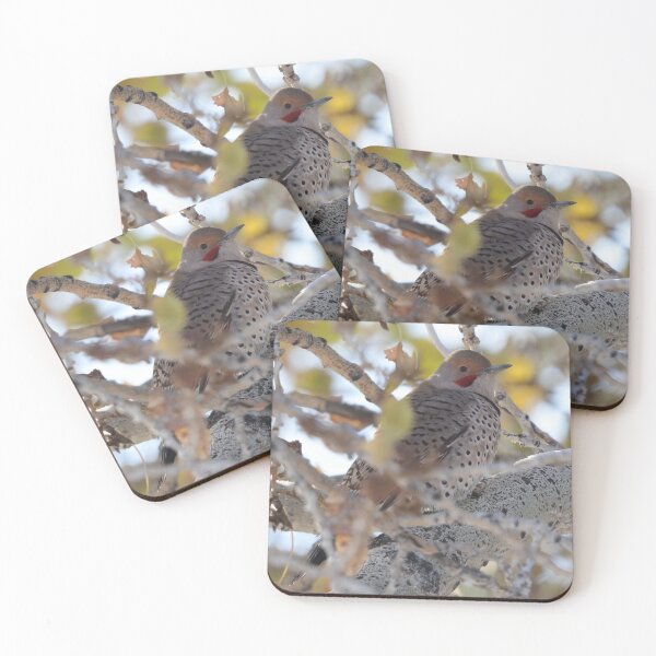 Item preview, Northern Flicker designed and sold by Alyce Taylor.