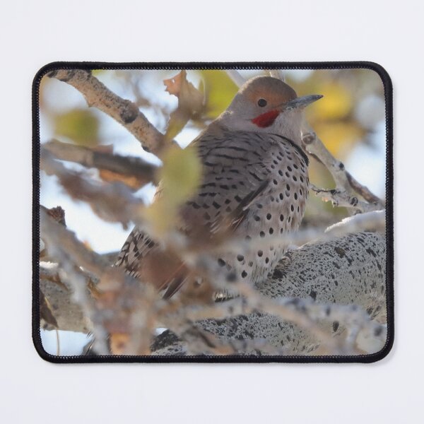 Item preview, Northern Flicker designed and sold by Alyce Taylor.