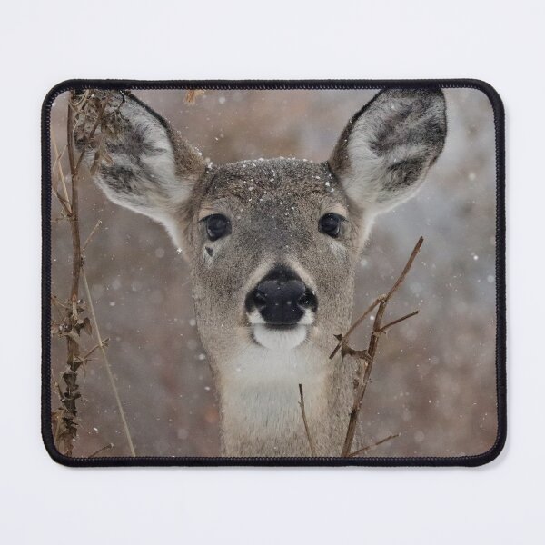 Item preview, Female White Tailed Deer designed and sold by Alyce Taylor.