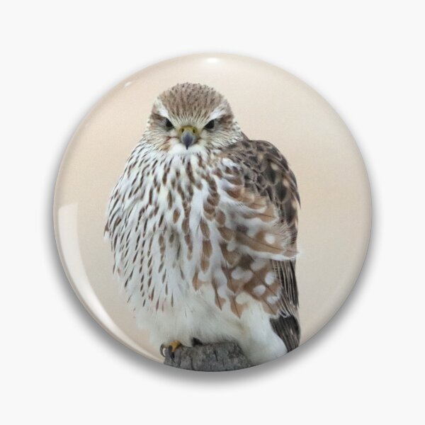 Item preview, Merlin designed and sold by Alyce Taylor.