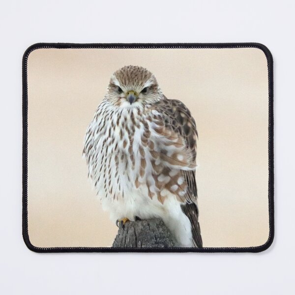 Item preview, Merlin designed and sold by Alyce Taylor.