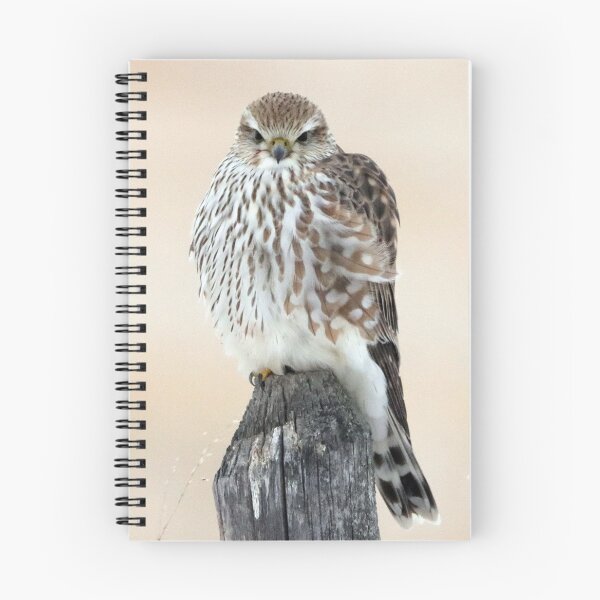 Item preview, Merlin designed and sold by Alyce Taylor.