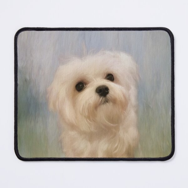 Item preview, Can We Play Now designed and sold by Lois  Bryan.