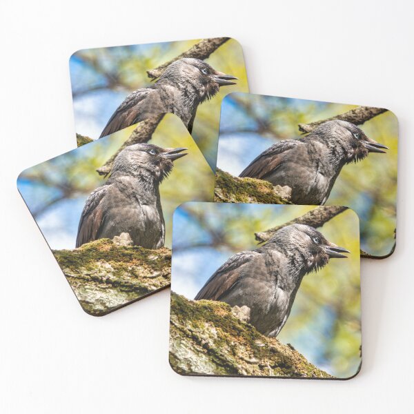Item preview, Western jackdaw designed and sold by troianifabrizio.