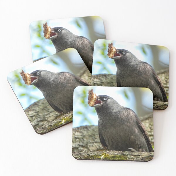 Item preview, Western jackdaw designed and sold by troianifabrizio.