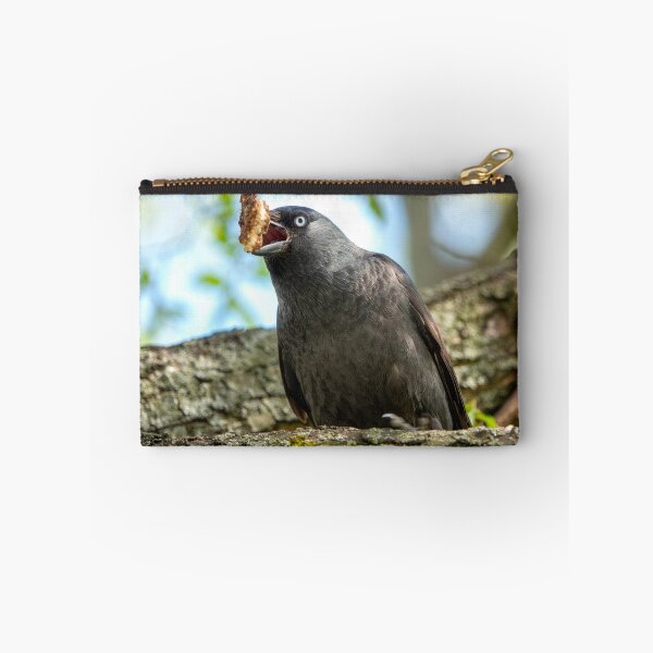 Item preview, Western jackdaw designed and sold by troianifabrizio.