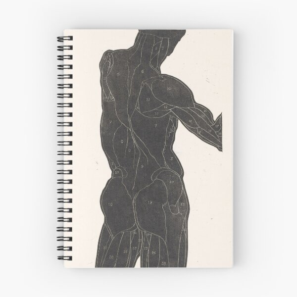 Item preview, Male Muscular Anatomy designed and sold by click4collage.